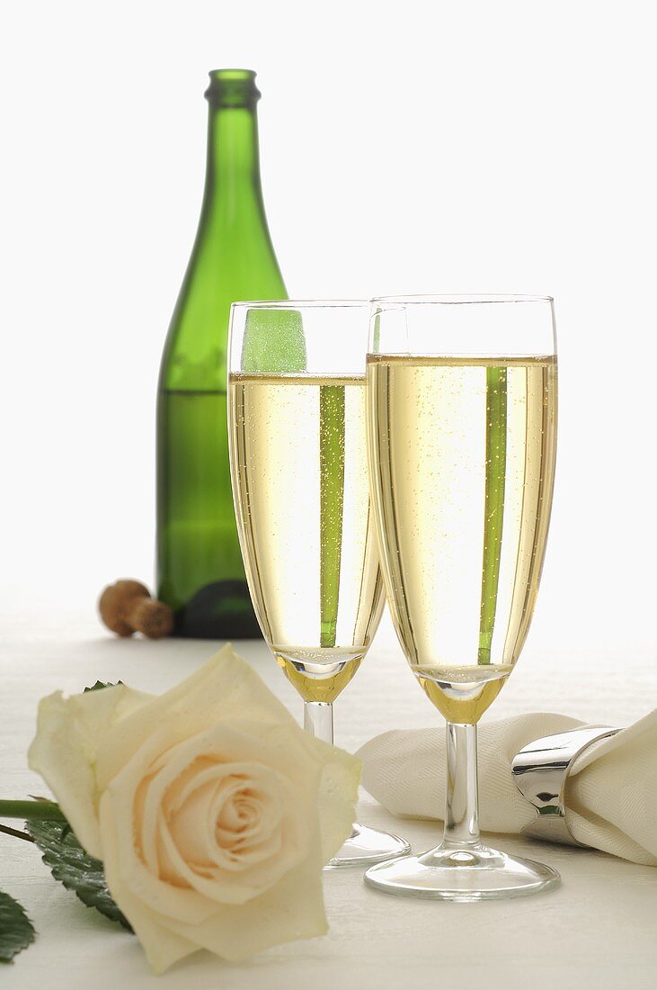 Sparkling wine and white rose