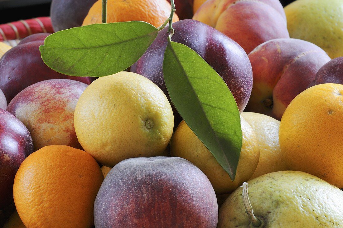 Assorted fruit in a basket