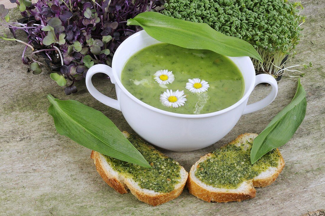 Brot mit Bärlauchpesto und Kräutersuppe mit Gänseblümchen