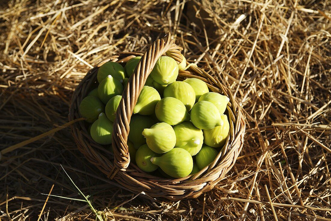 Green figs in basket on straw