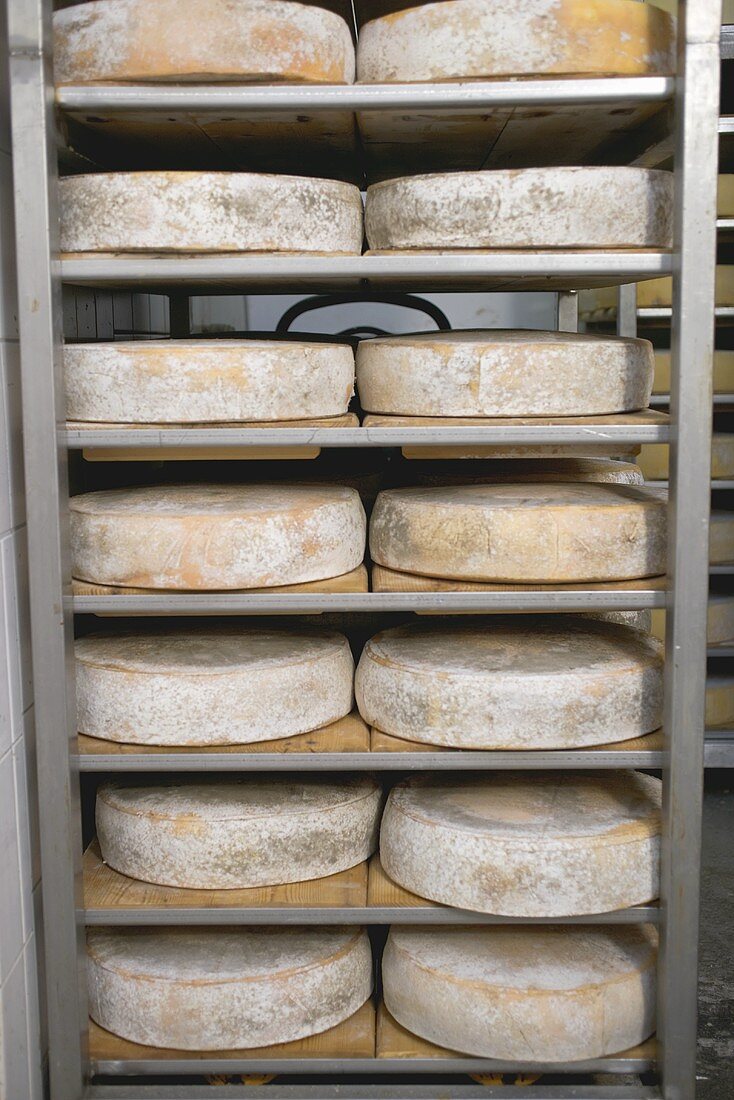 Cheeses stored in order of age