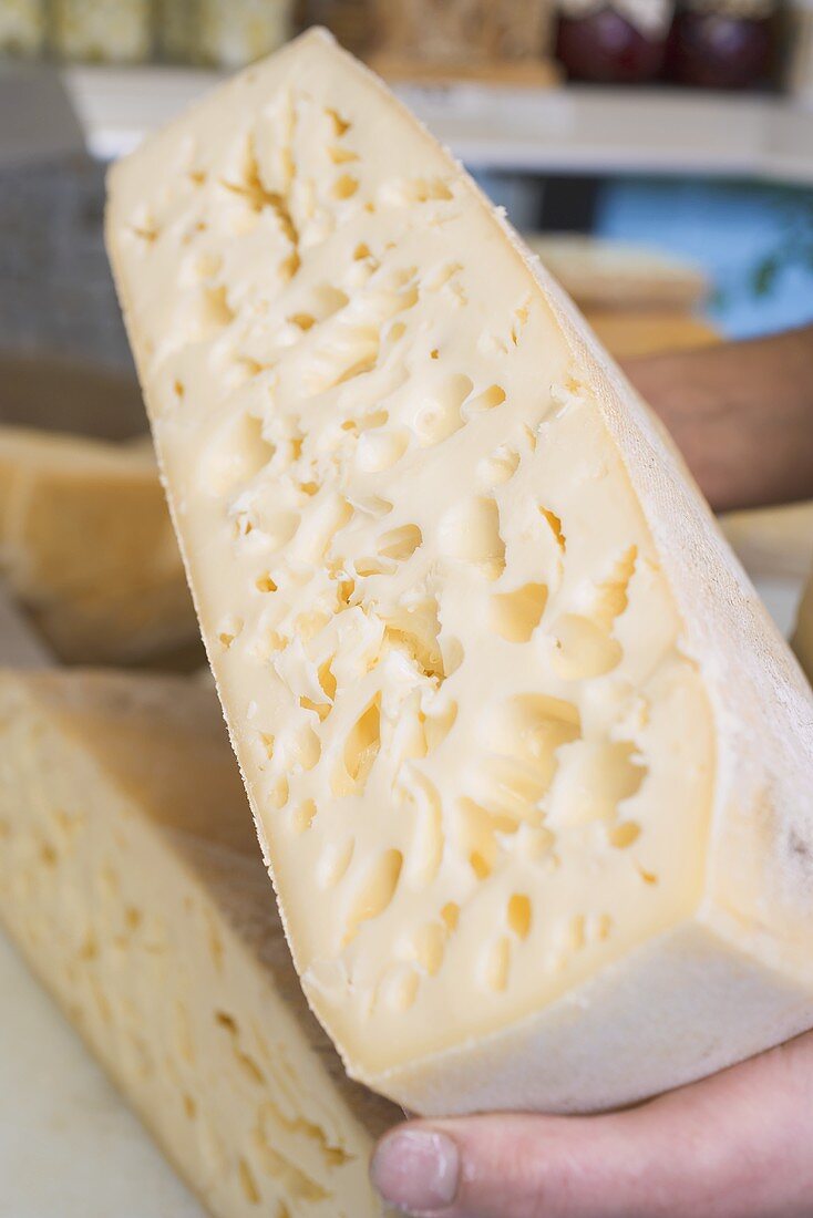 Hand holding a large piece of Bergkäse (Alpine) cheese