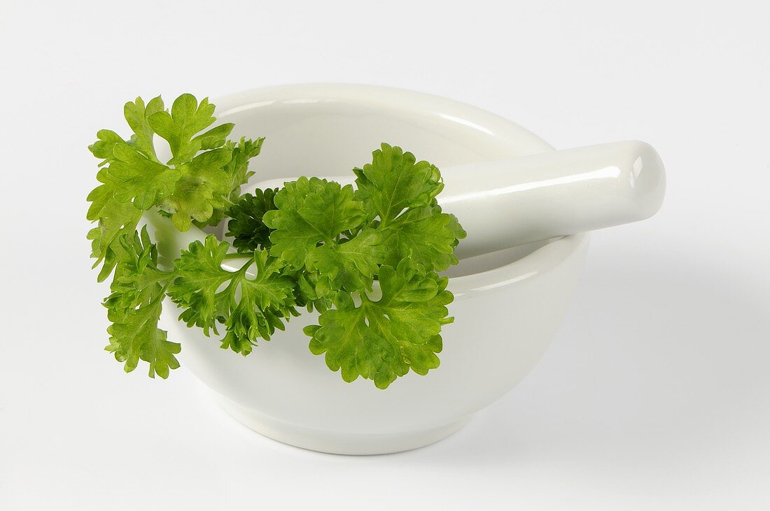 Fresh parsley in mortar