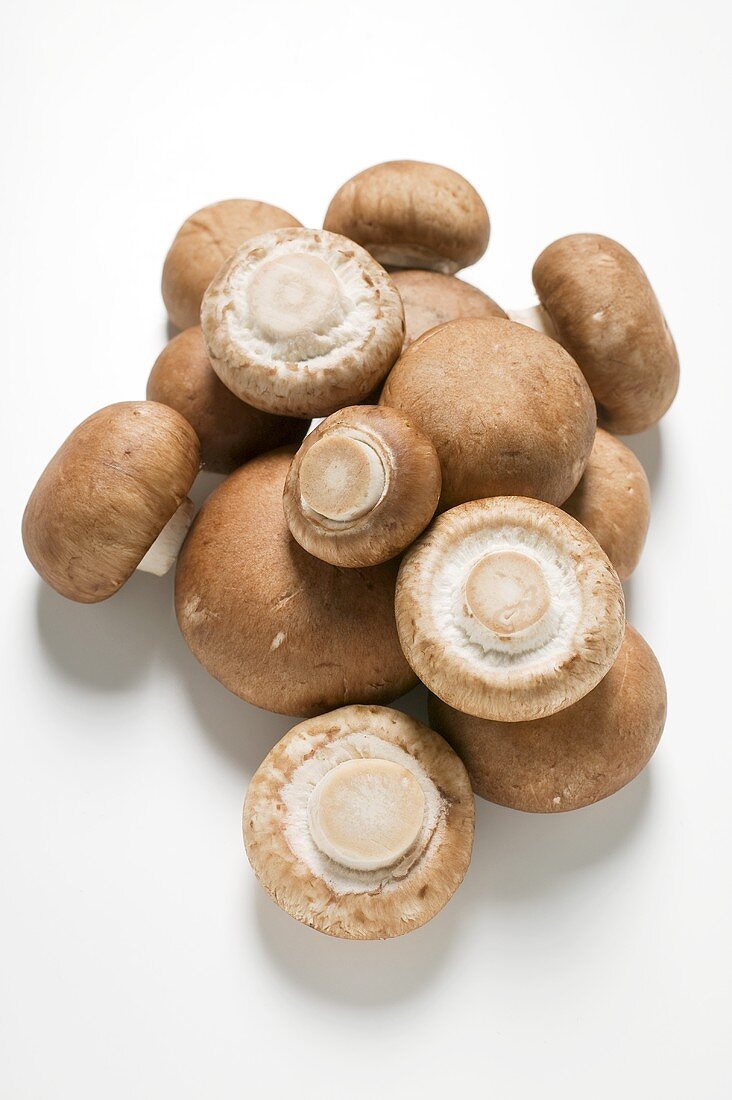 Several fresh chestnut mushrooms