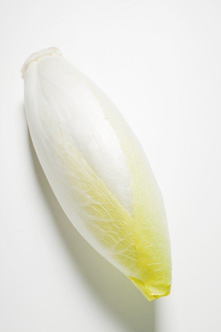 A head of chicory