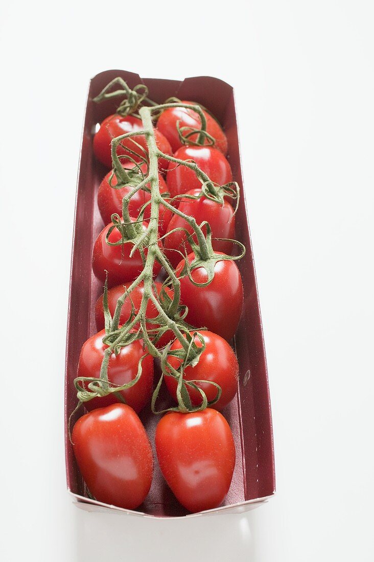 Fresh plum tomatoes in packaging
