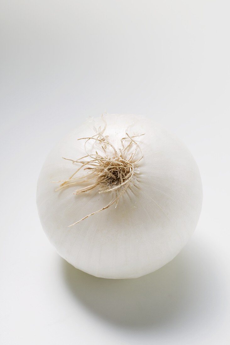 A white onion