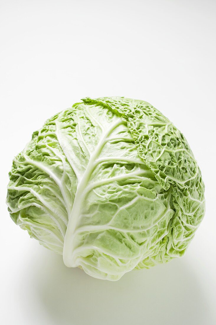 Savoy cabbage