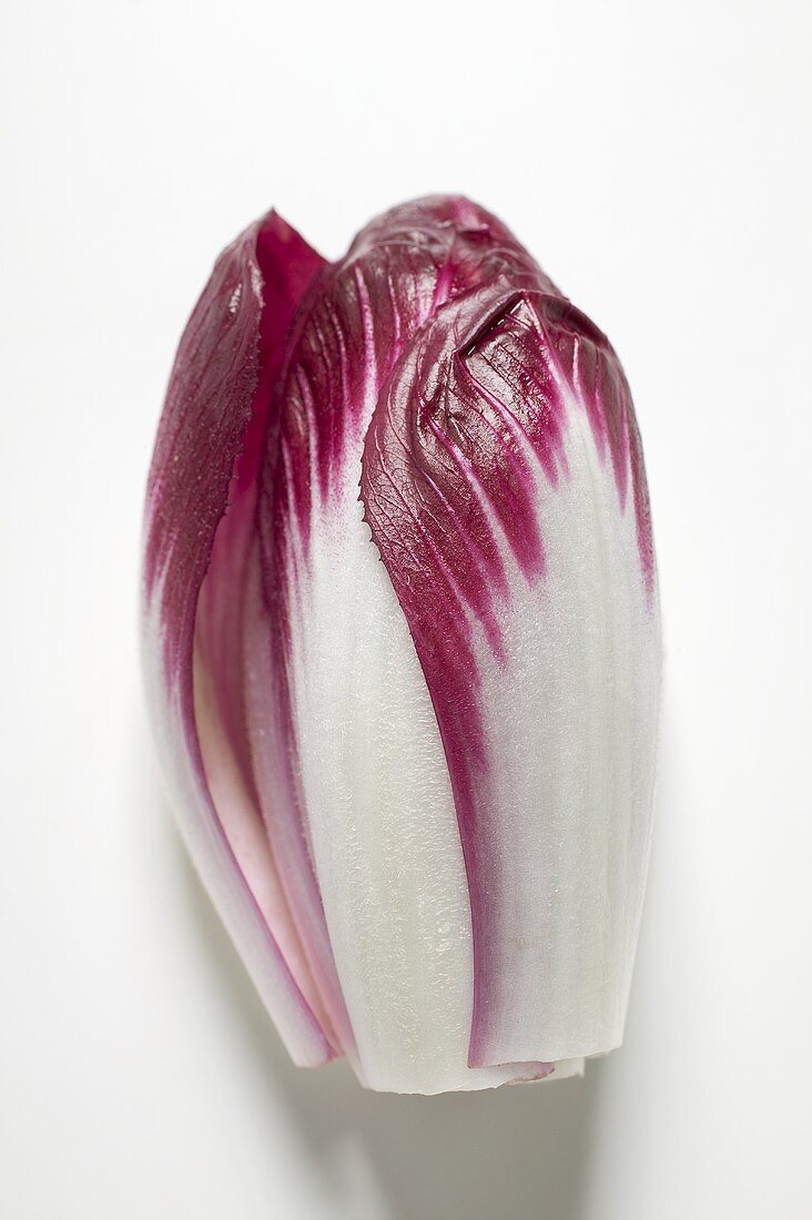 Radicchio