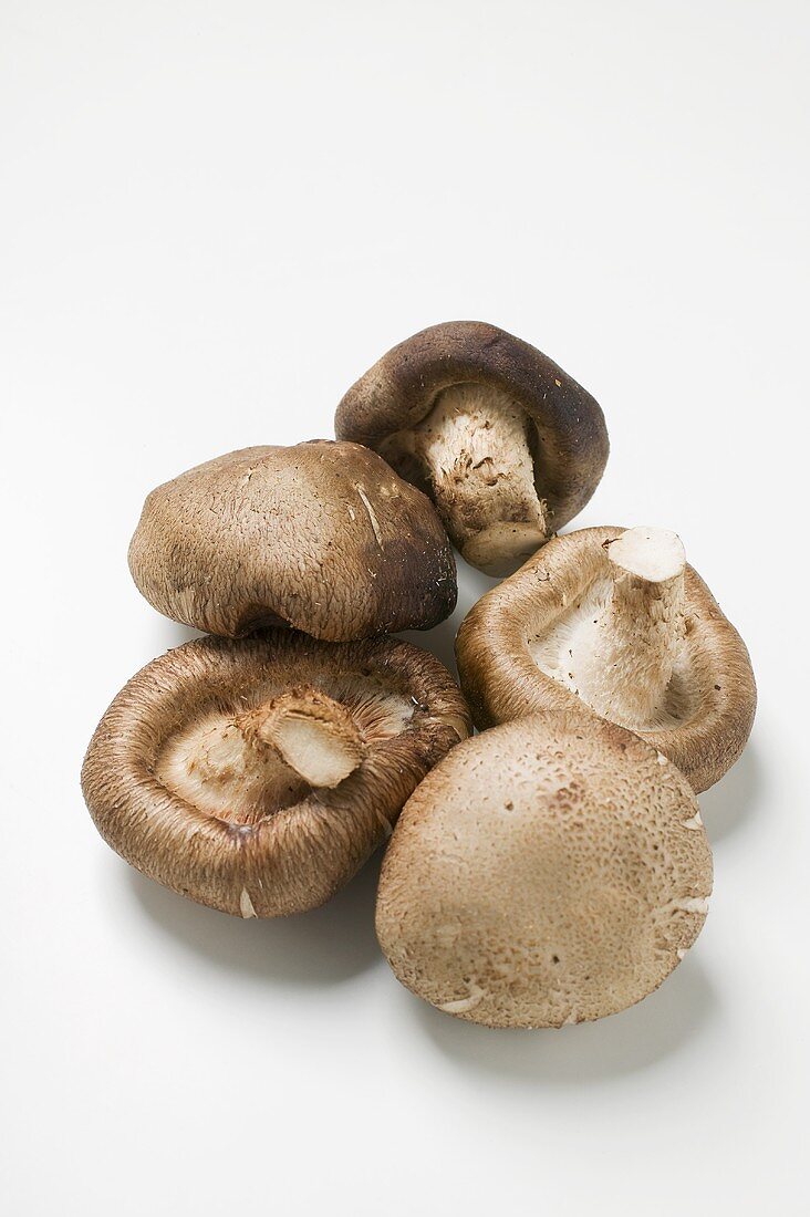 Fresh shiitake mushrooms