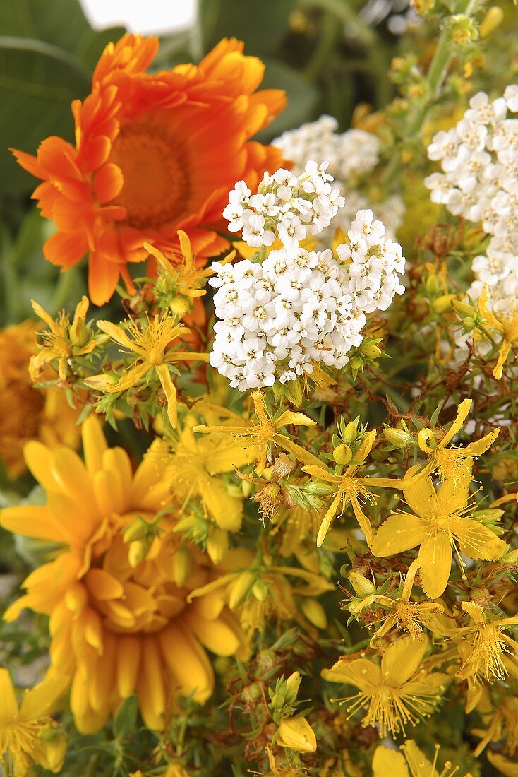 Bunch of herbs (detail)