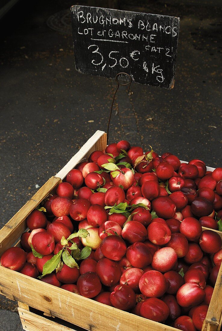 Nectarines in wooden crates at a market