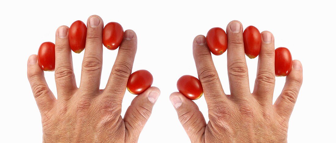 Tomaten zwischen den Fingern