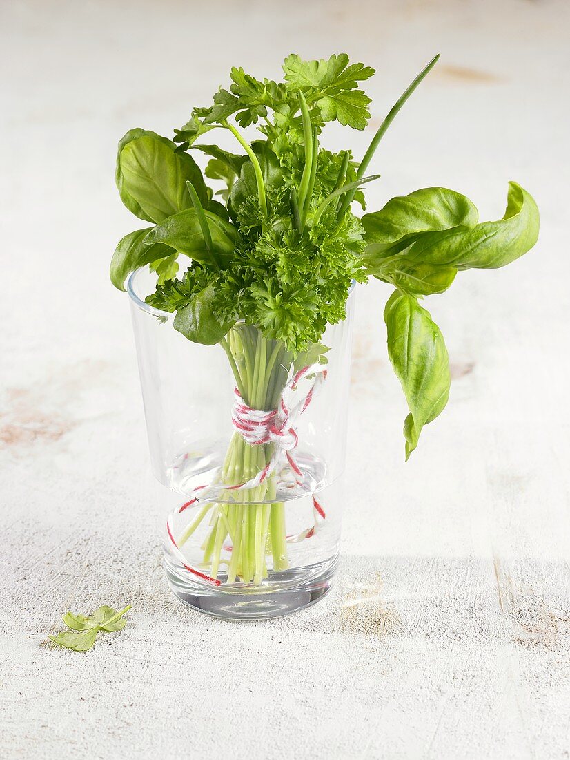 Small bunch of herbs in glass