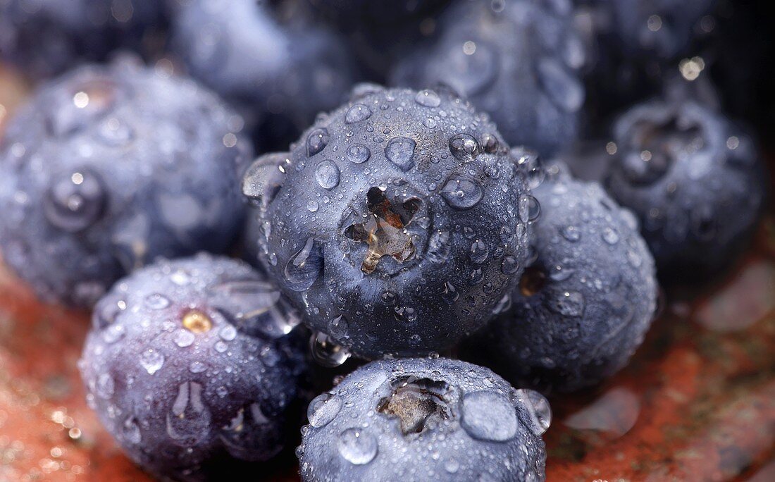 Frische Heidelbeeren mit Wassertropfen