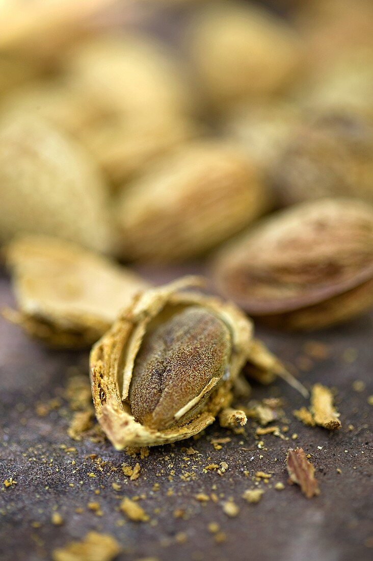 Fresh almonds in their shells