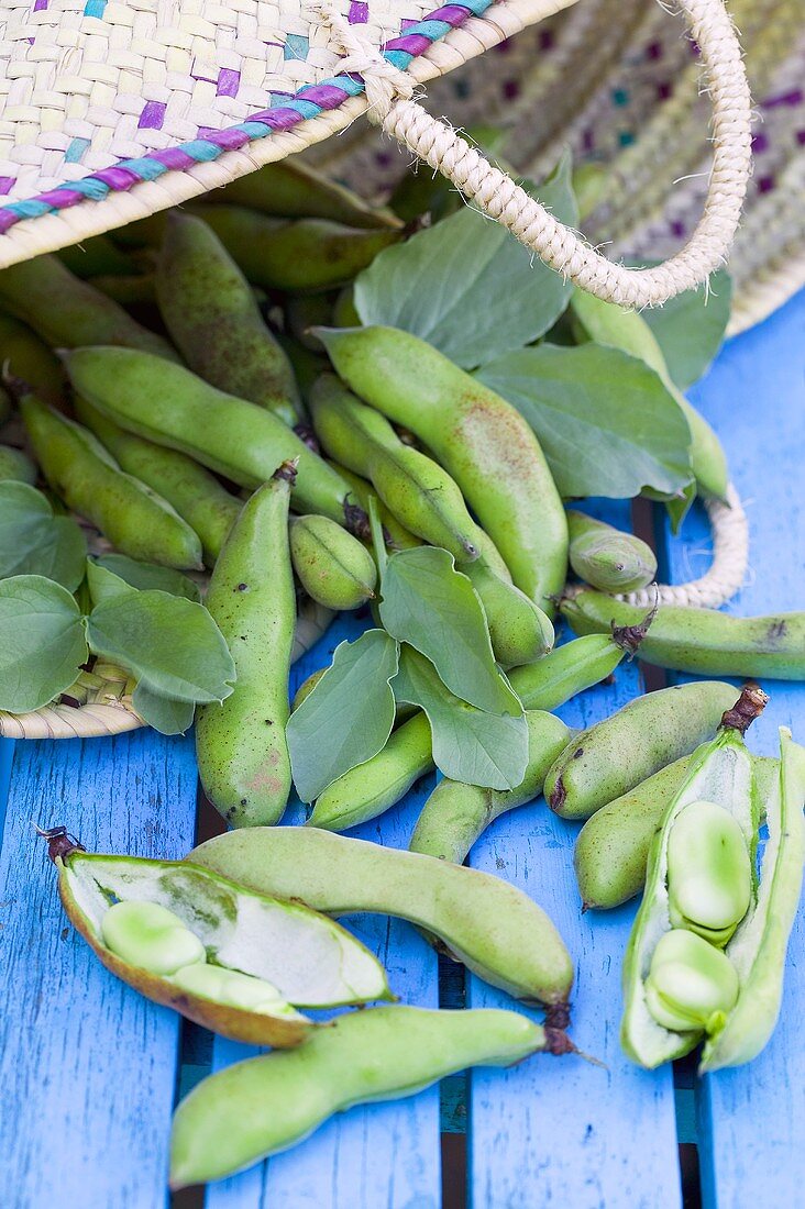 Broad beans in a basket