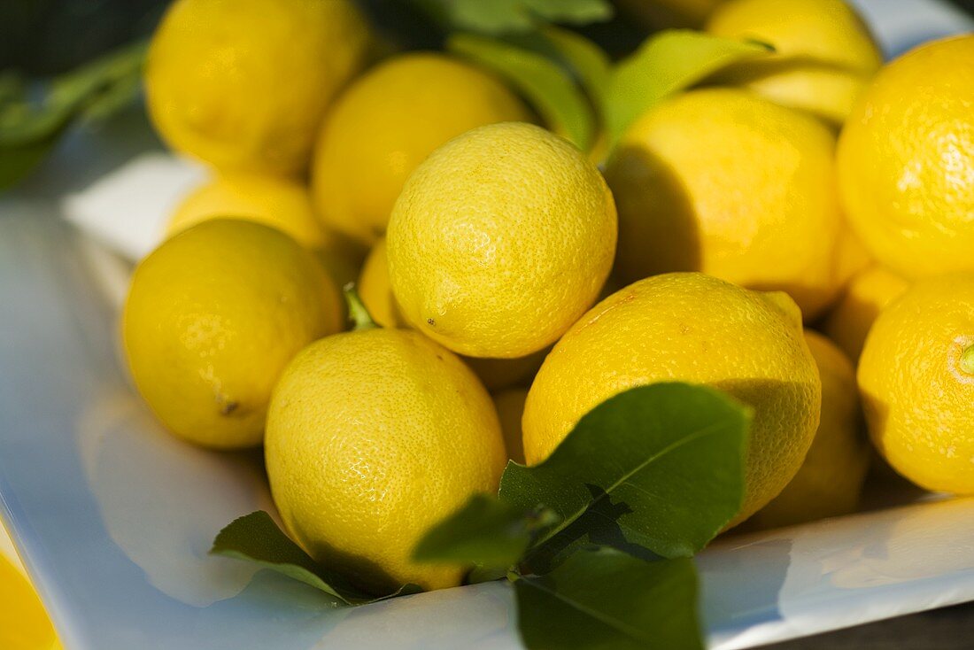 Frische Zitronen mit Blättern