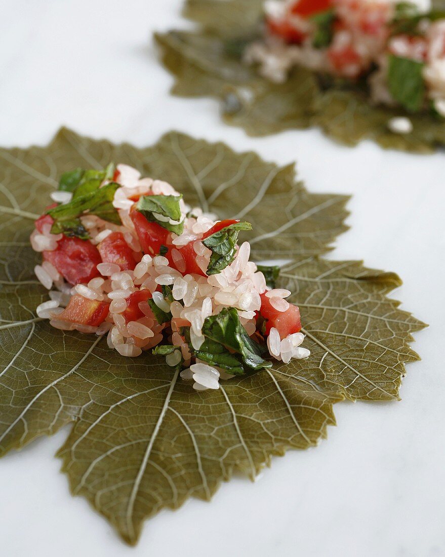 Stuffing vine leaves with a tomato and rice mixture