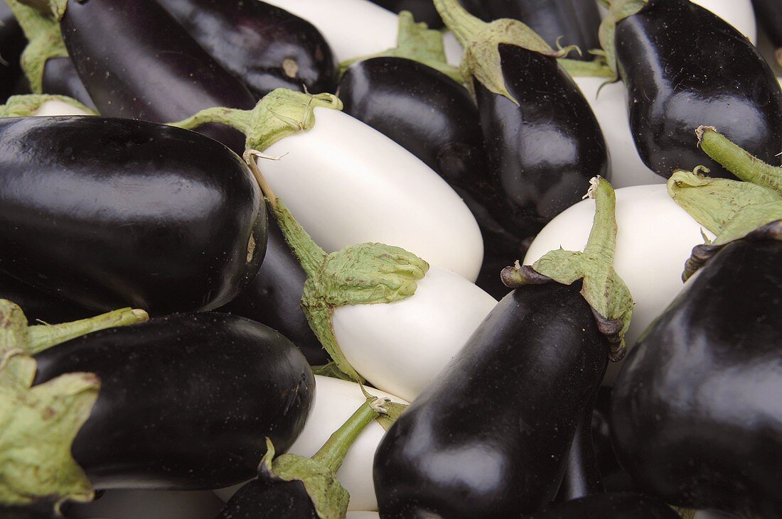 Purple and white aubergines