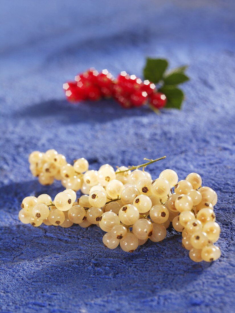 White- and redcurrants on blue background