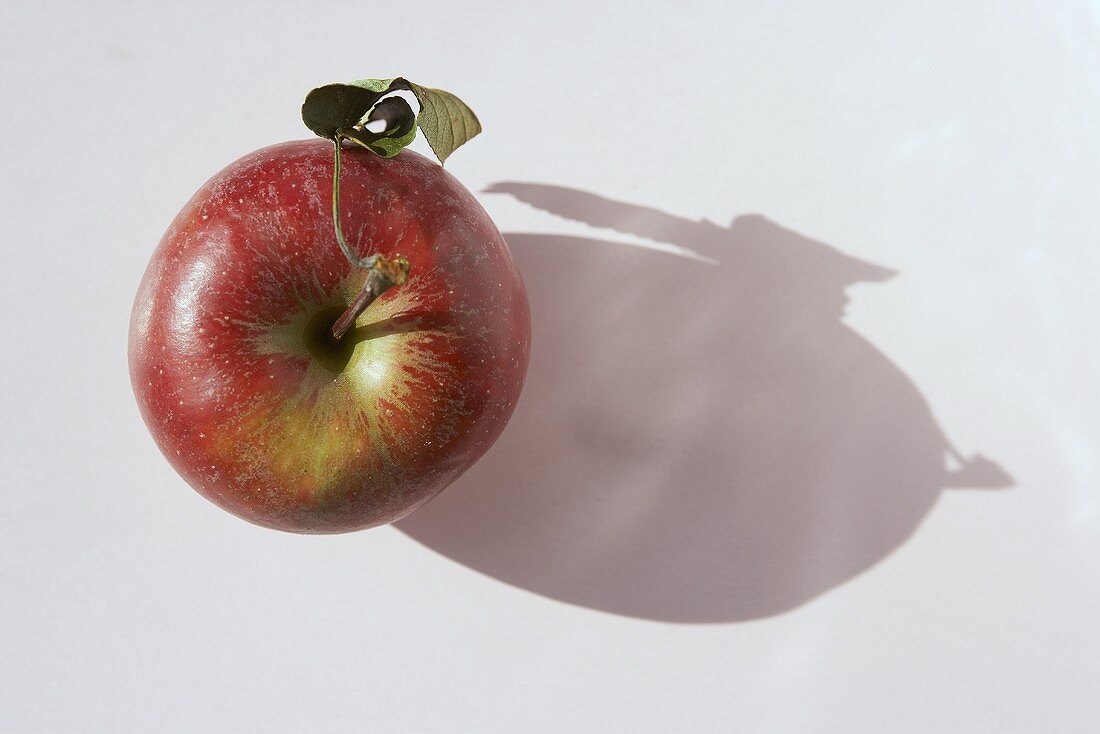 Ein Apfel mit Schatten