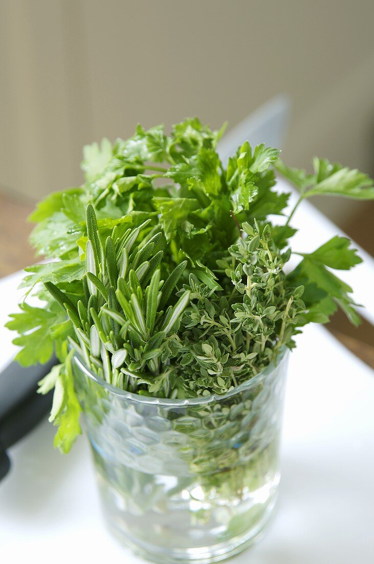 Fresh herbs in glass