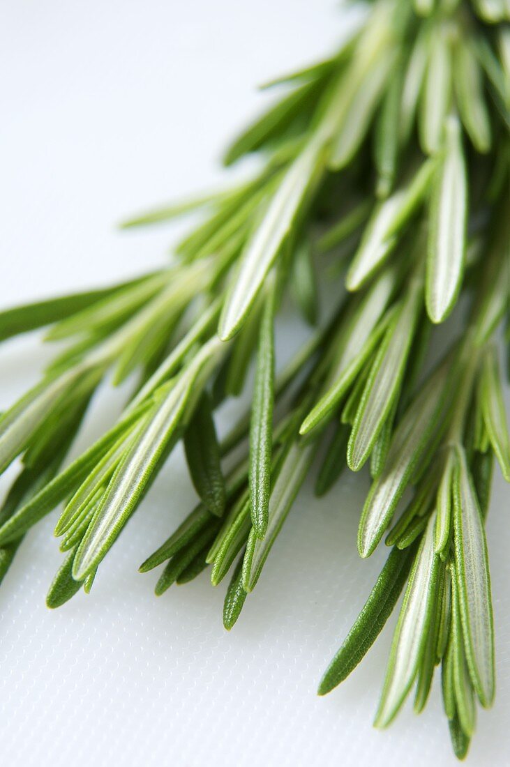 Fresh rosemary