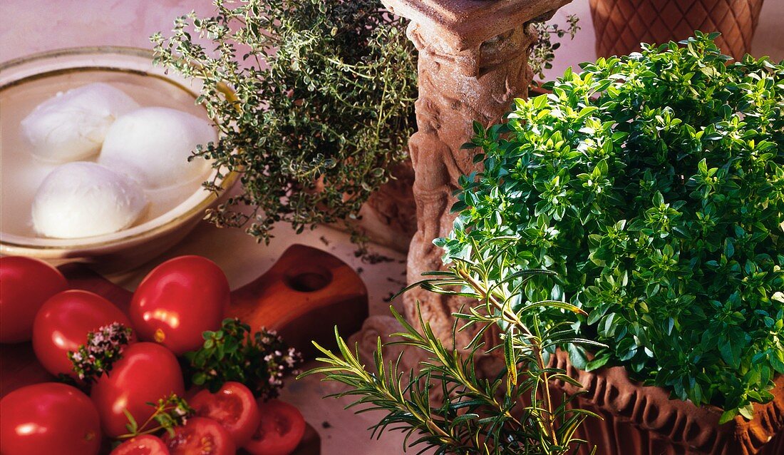 Verschiedene Kräuter, Tomaten und Mozzarella