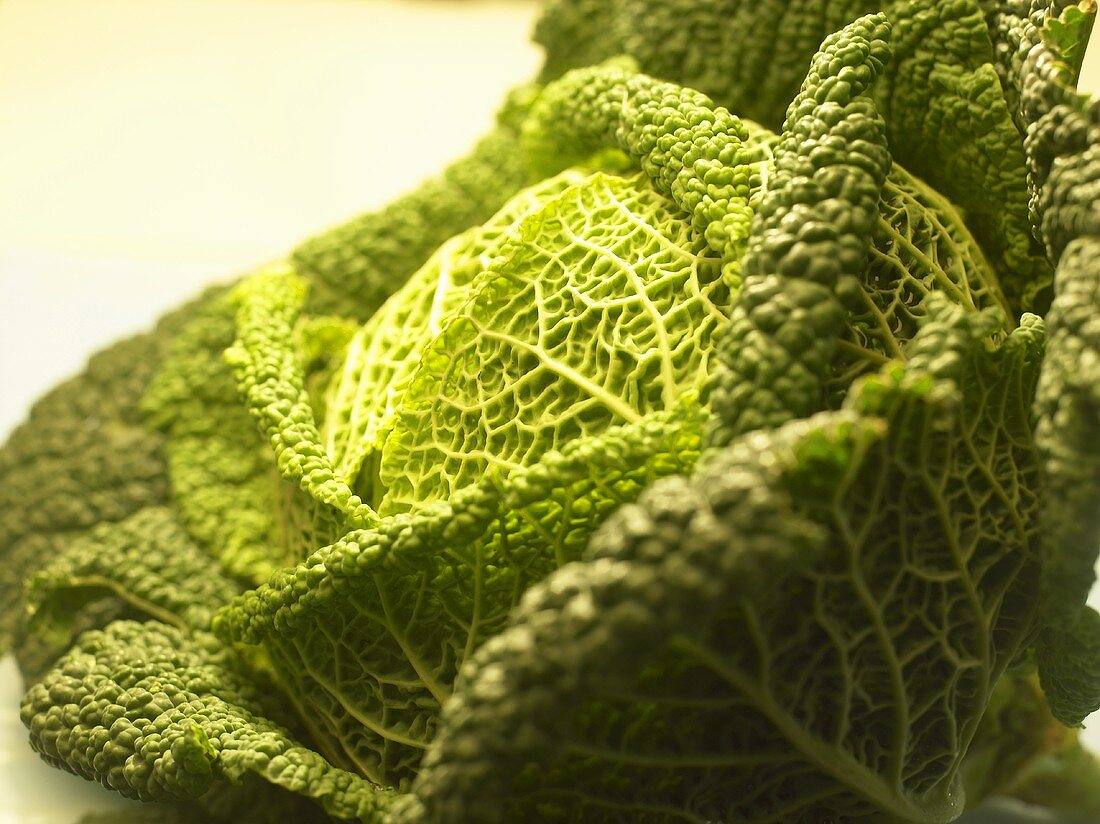 A savoy cabbage