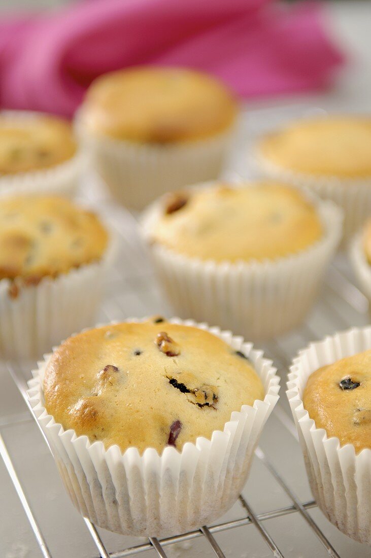 Dried fruit muffins