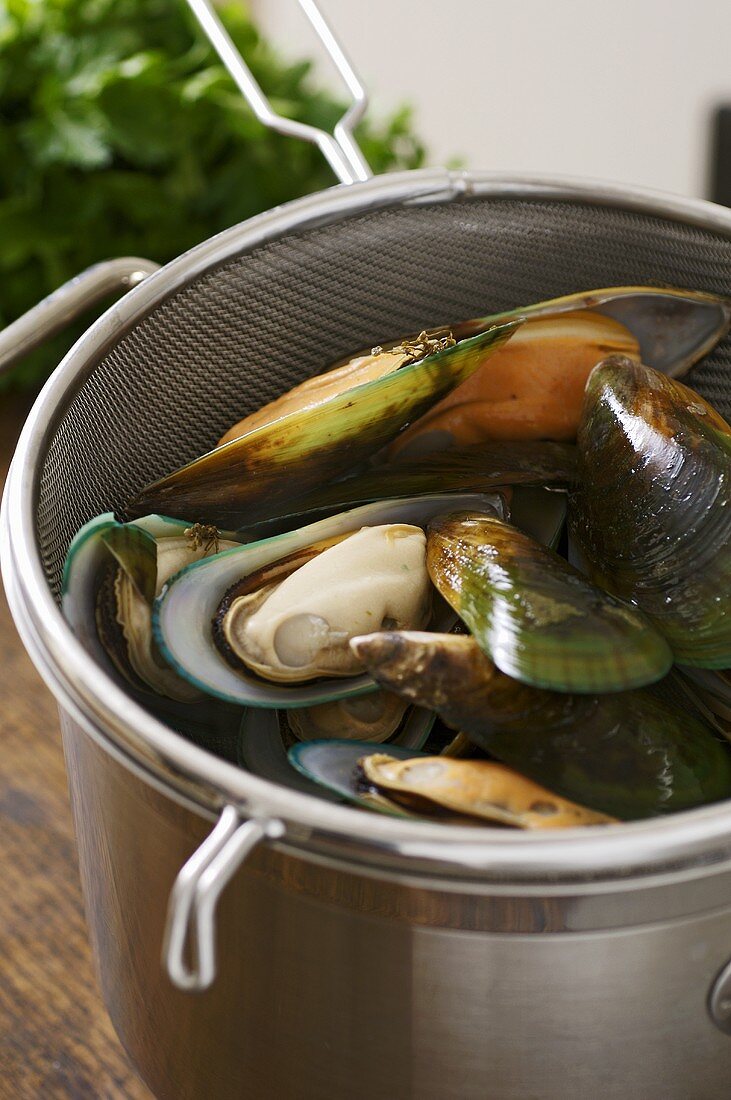 Steamed mussels in a sieve