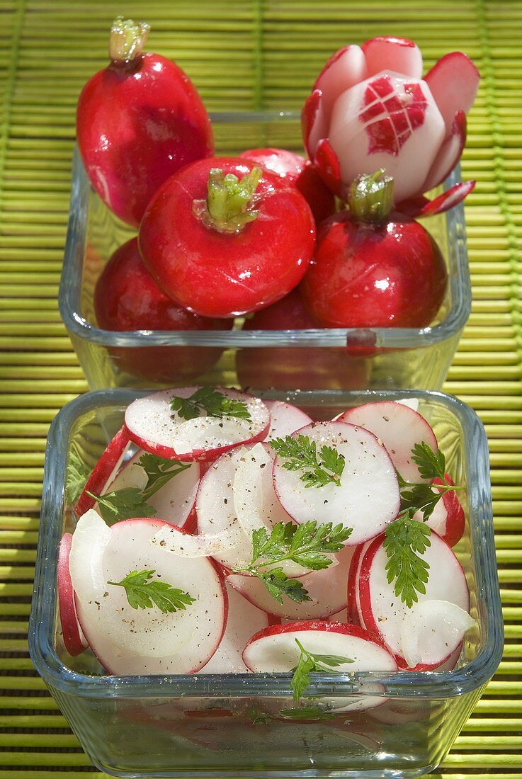 Radieschensalat mit Koriander und frische Radieschen