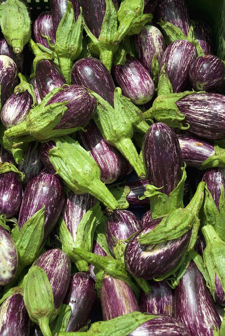 Striped aubergines (full-frame)