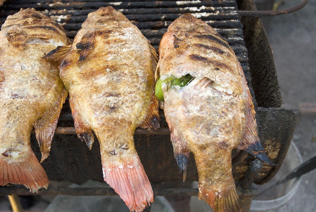 Red snappers on a grill