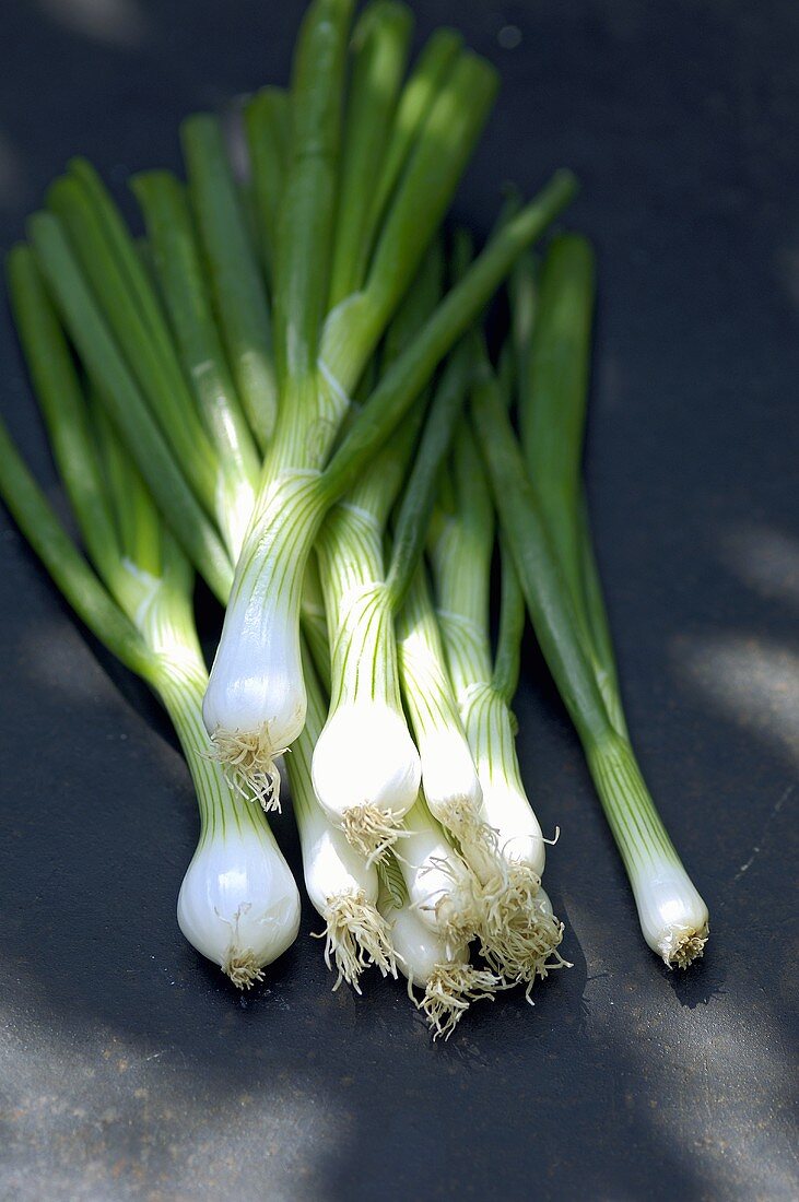 Spring onions