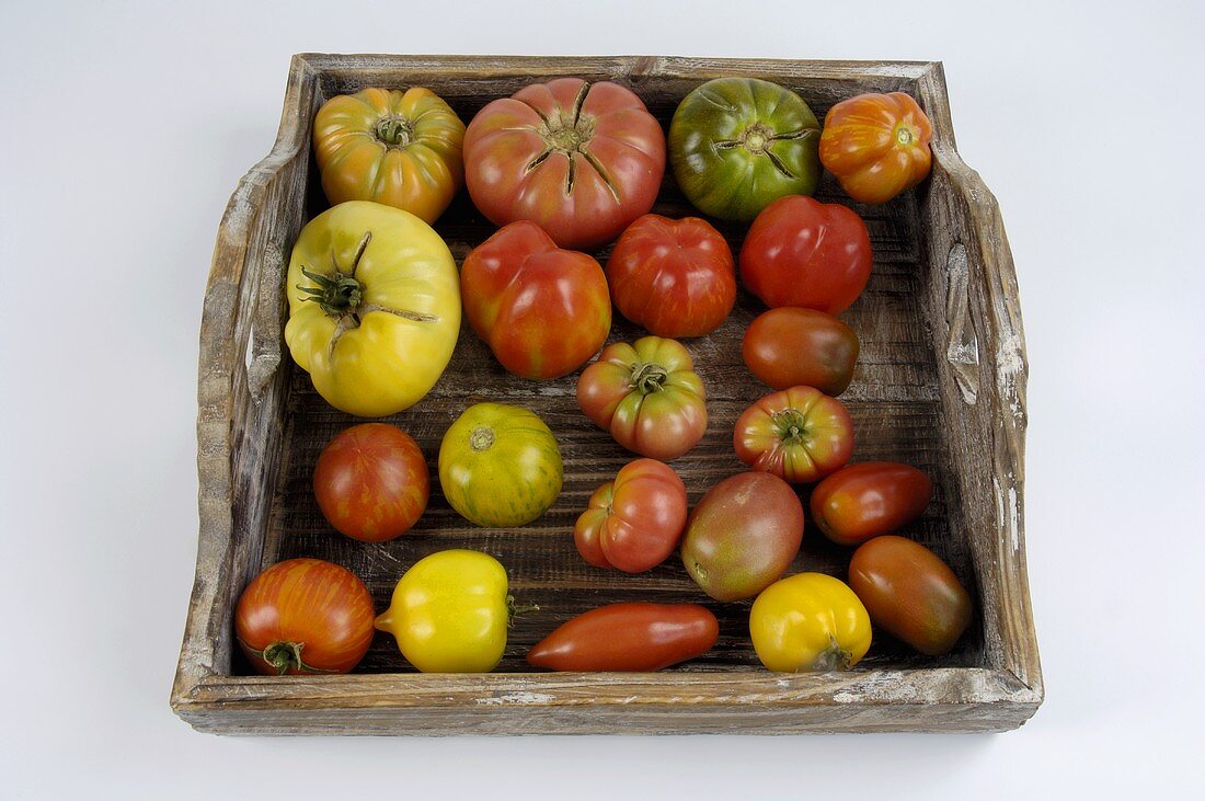 Various varieties of tomatoes in a wooden basket