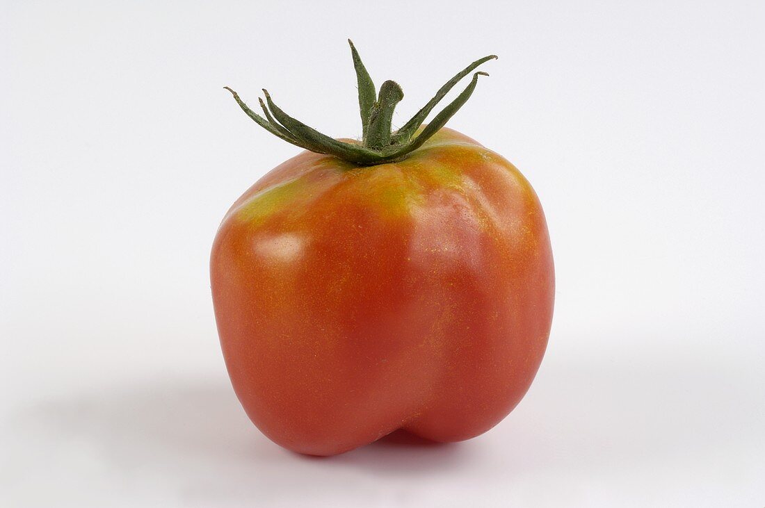 Eine Tomate (Sorte: Liberty Bell)