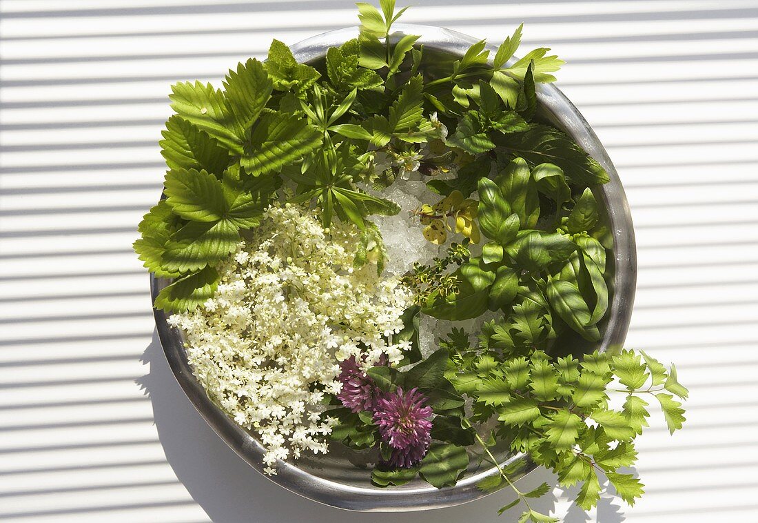 Frische Kräuter und Blüten in einer Schüssel