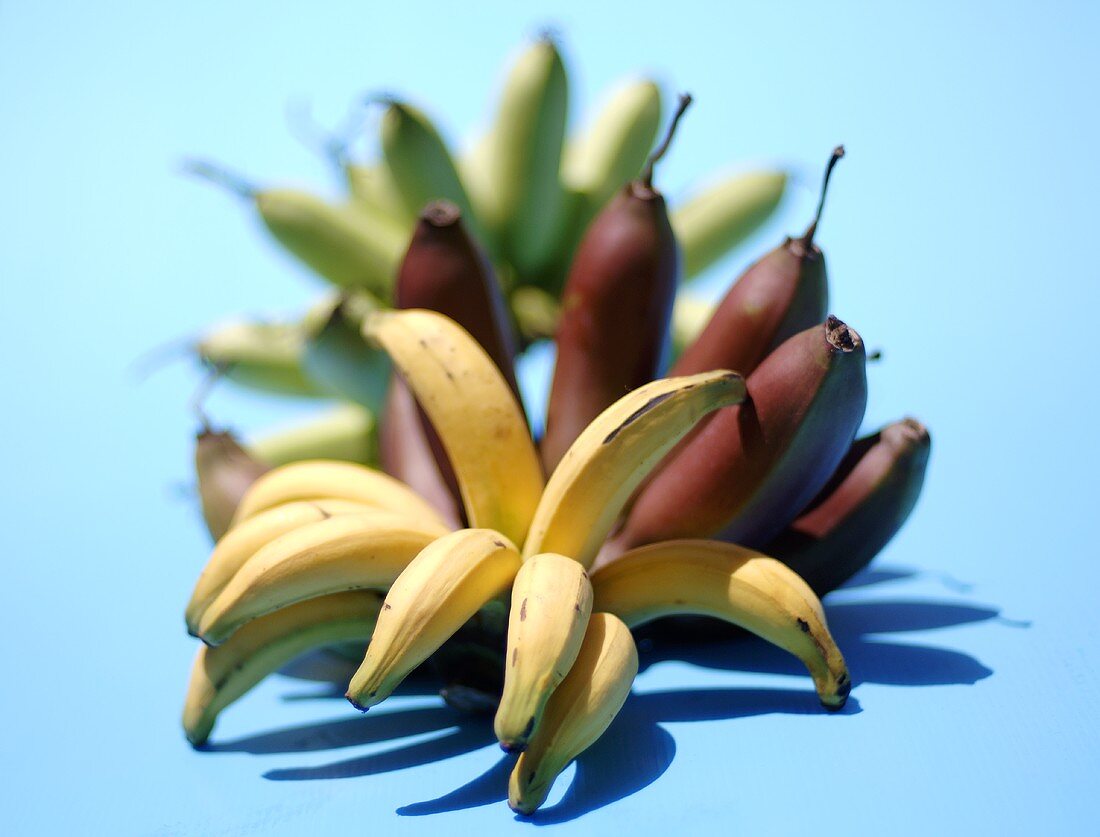 Verschiedene Bananensorten aus Thailand
