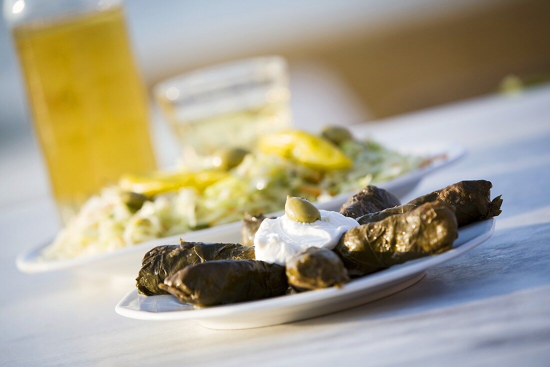 Dolmades with tzatziki, vegetable salad and white retsina