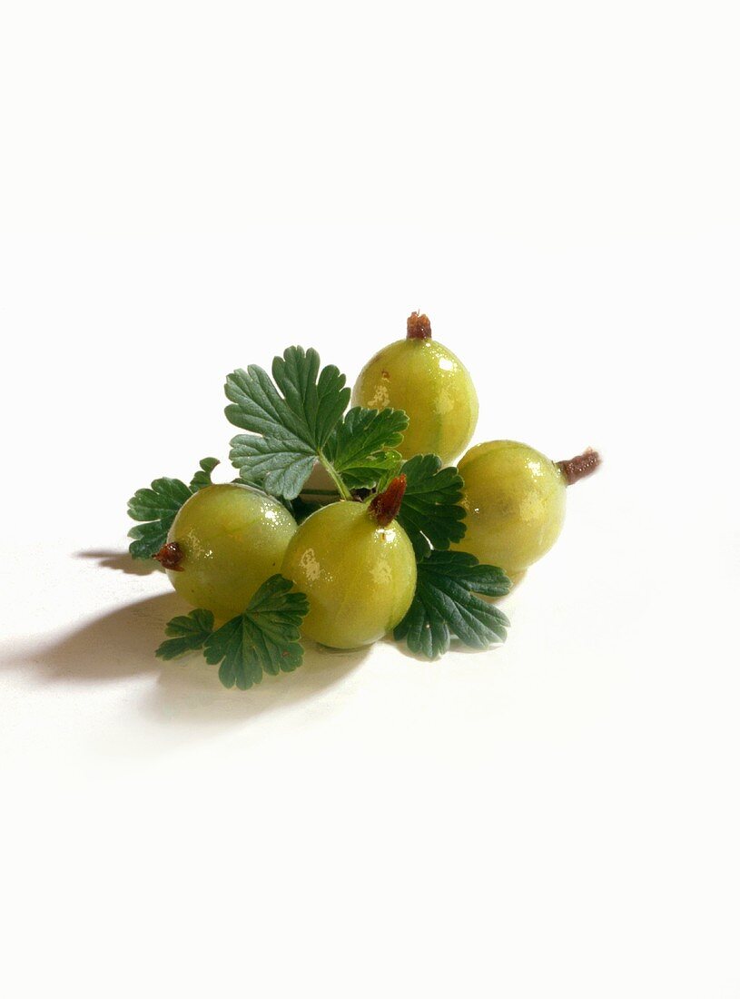 Gooseberries with leaves