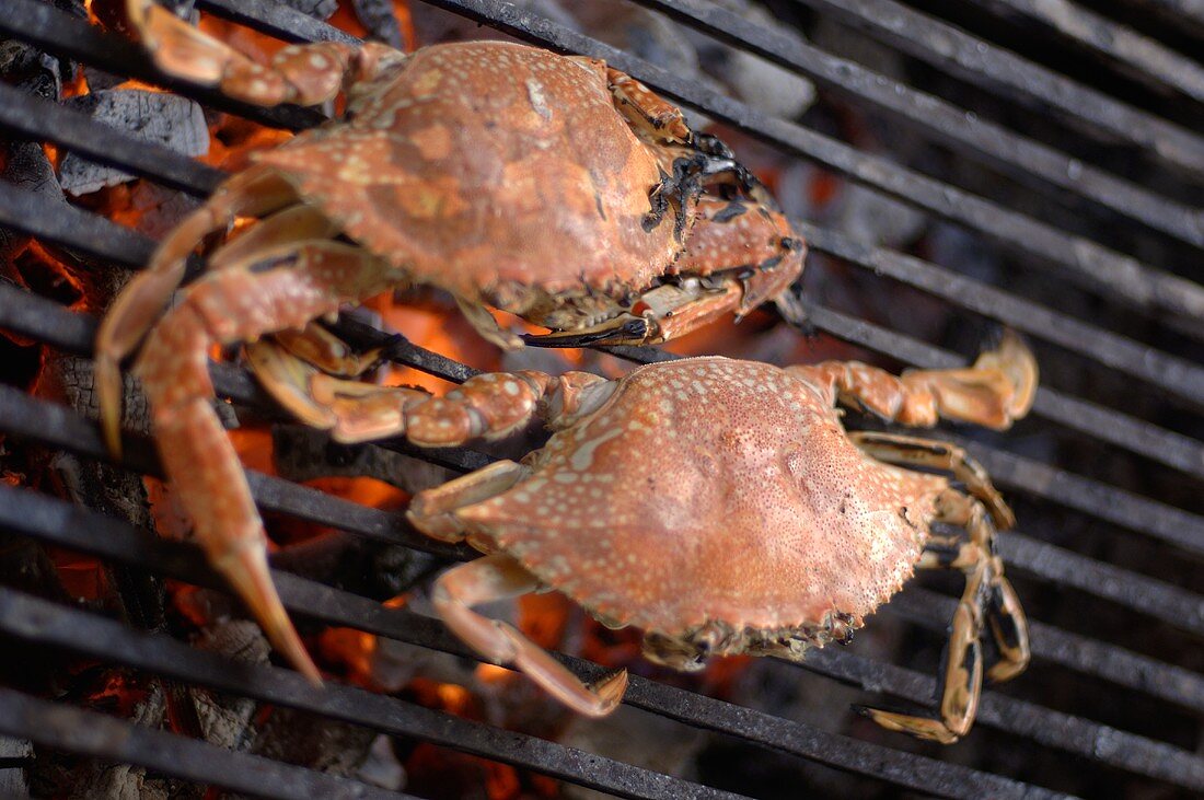 Crabs on a barbecue