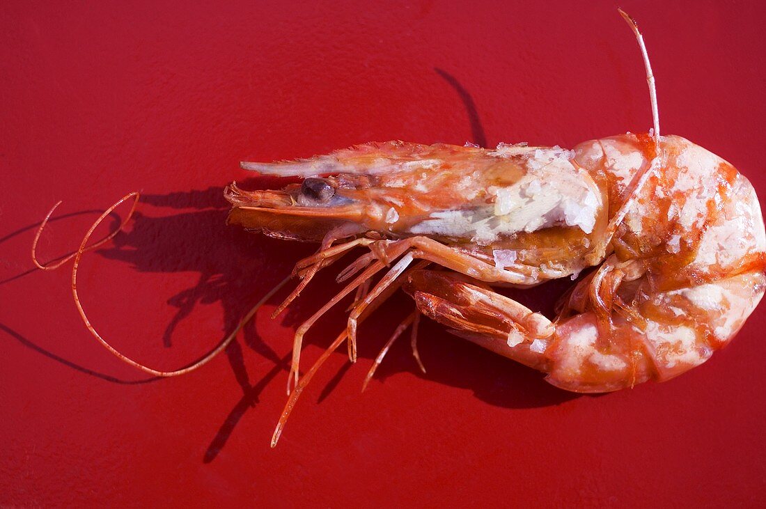 A prawn with salt crust against red background