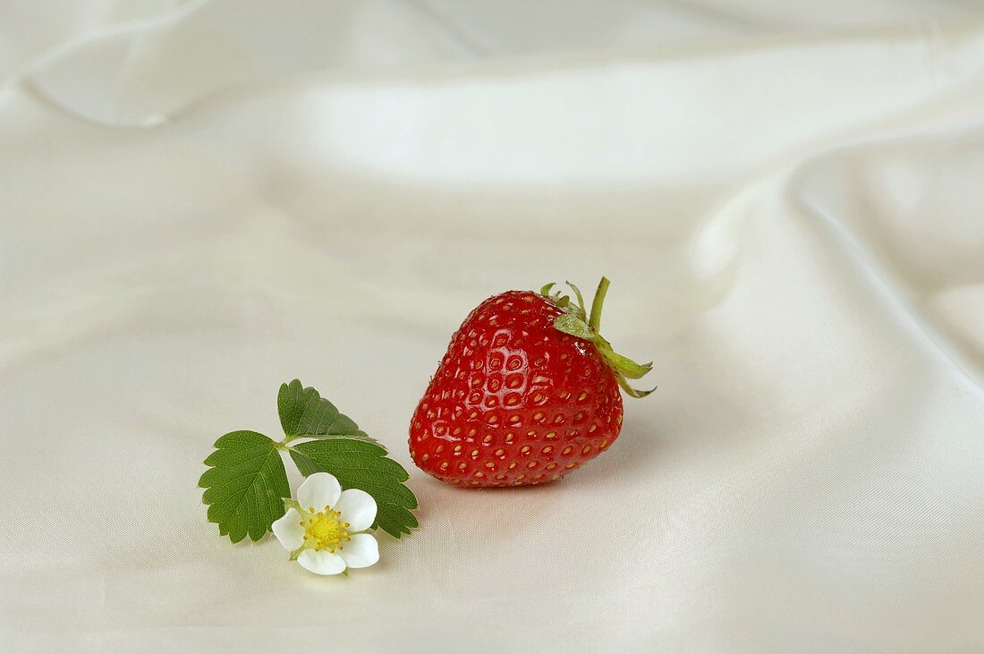 Eine Erdbeere mit Blatt und Blüte