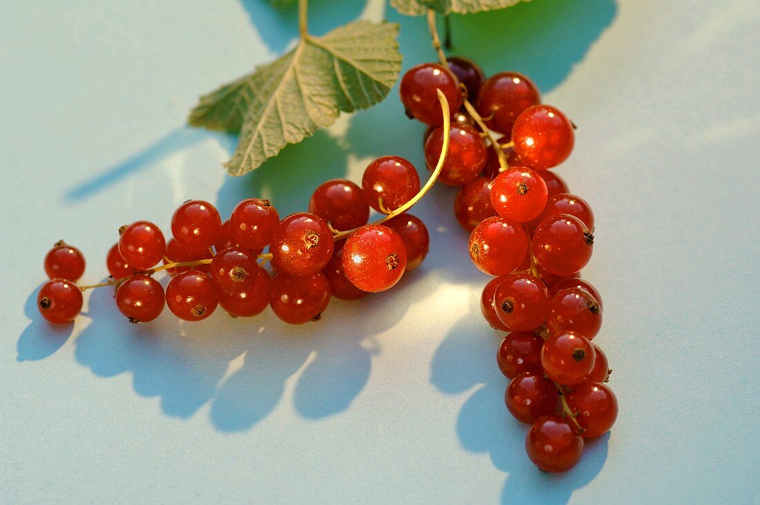 Redcurrants