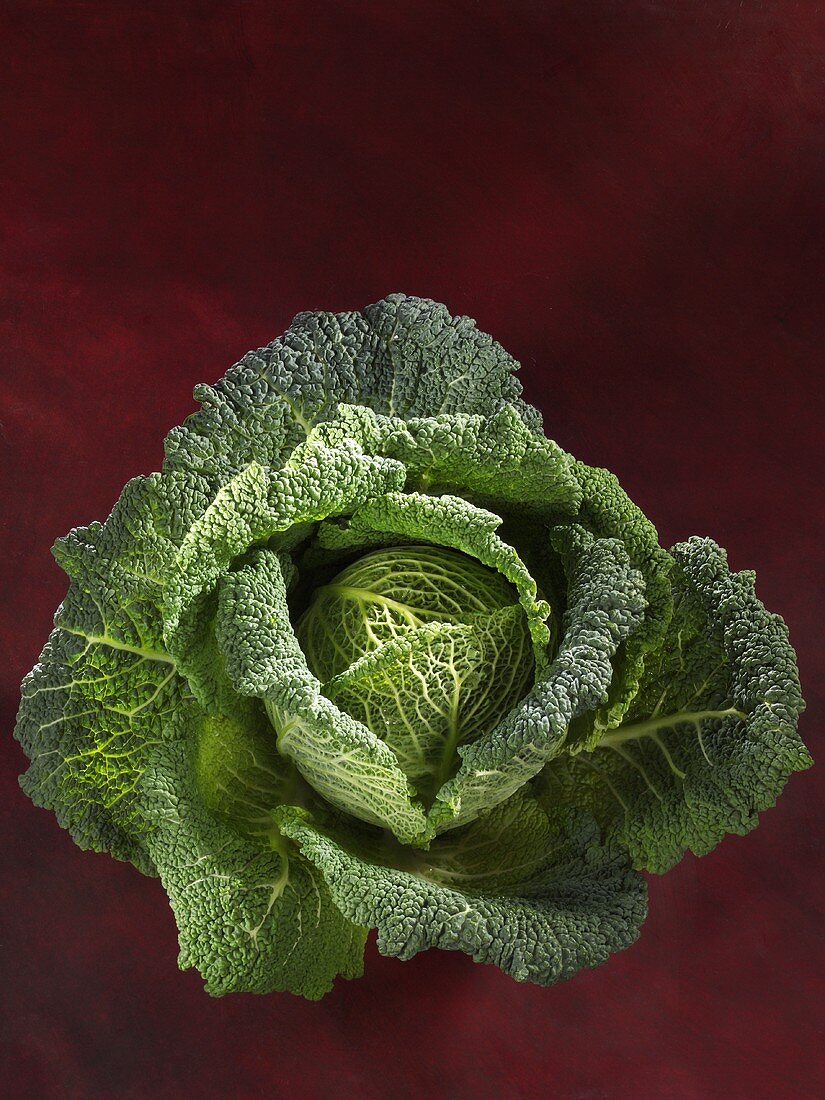 A savoy cabbage