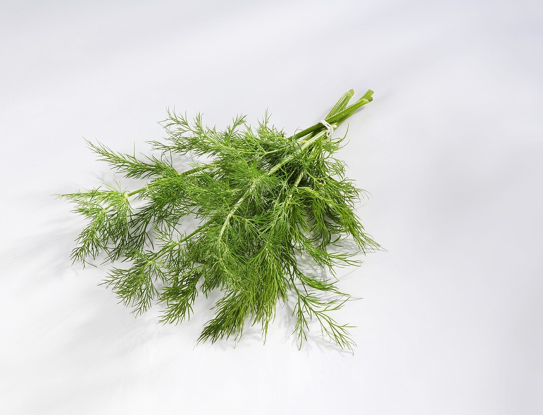 A bunch of dill