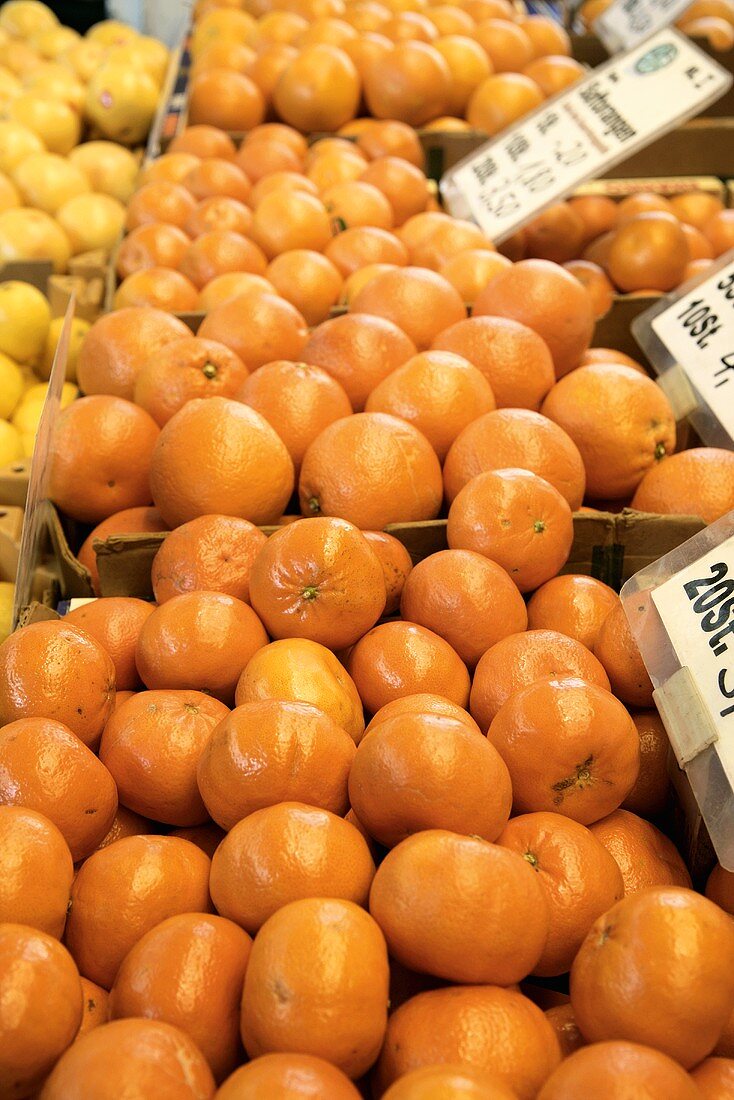 Oranges and mandarin oranges on a market stall