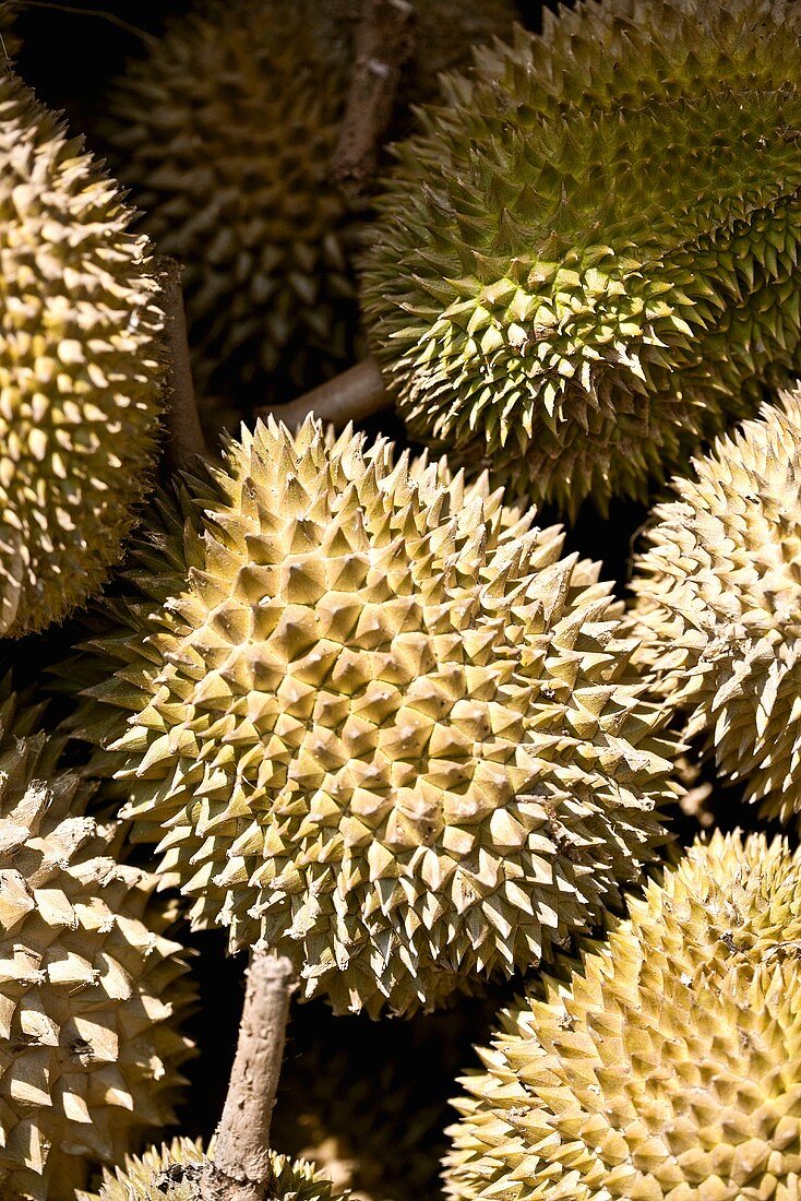 Durians on a market stall in Singapore